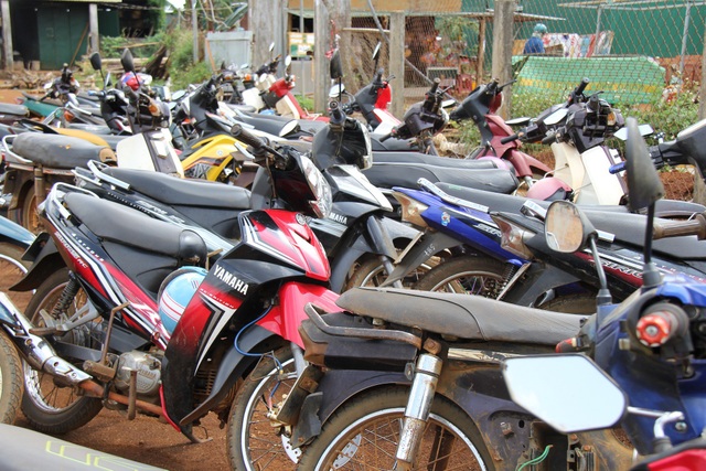 Đắk Nông: Học sinh đeo khăn quàng đỏ vô tư điều khiển xe máy tới trường - 9
Bãi giữ xe cổng trường THCS Quang Trung phần lớn là xe máy