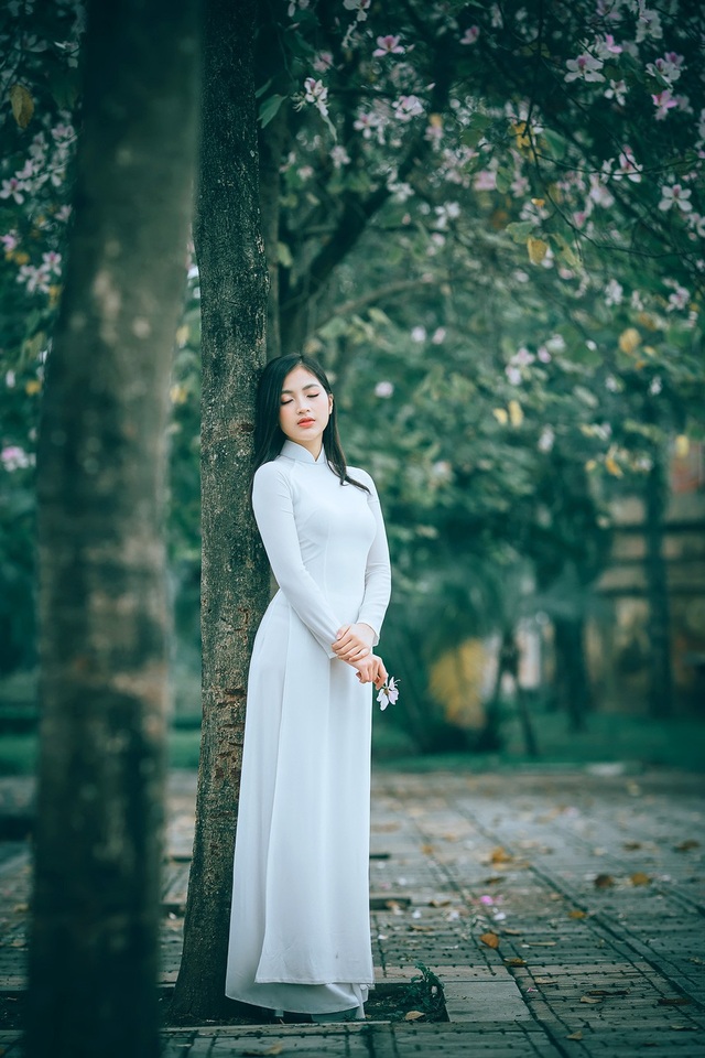Nữ sinh Hà thành ngọt ngào bên sắc hoa ban - 14 Nữ sinh Hà thành ngọt ngào bên sắc hoa ban - 14