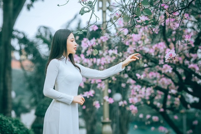 Nữ sinh Hà thành ngọt ngào bên sắc hoa ban - 4 Nữ sinh Hà thành ngọt ngào bên sắc hoa ban - 4