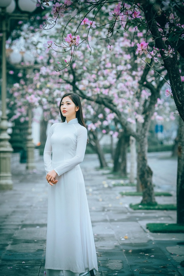 Nữ sinh Hà thành ngọt ngào bên sắc hoa ban - 2 Nữ sinh Hà thành ngọt ngào bên sắc hoa ban - 2