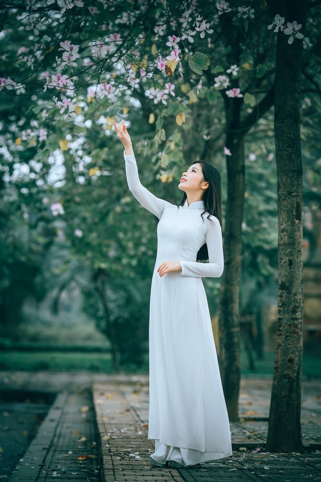Nữ sinh Hà thành ngọt ngào bên sắc hoa ban - 12 Nữ sinh Hà thành ngọt ngào bên sắc hoa ban - 12