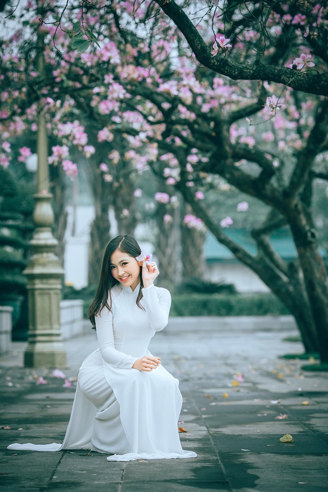 Nữ sinh Hà thành ngọt ngào bên sắc hoa ban - 8 Nữ sinh Hà thành ngọt ngào bên sắc hoa ban - 8
