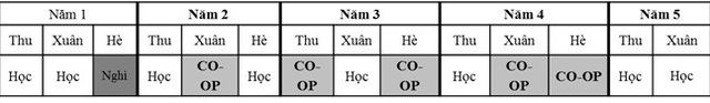 Hội thảo săn Học bổng du học Mỹ 12,000 USD của Trường Đại học Cincinnati - 4 Hội thảo săn Học bổng du học Mỹ 12,000 USD của Trường Đại học Cincinnati - 4