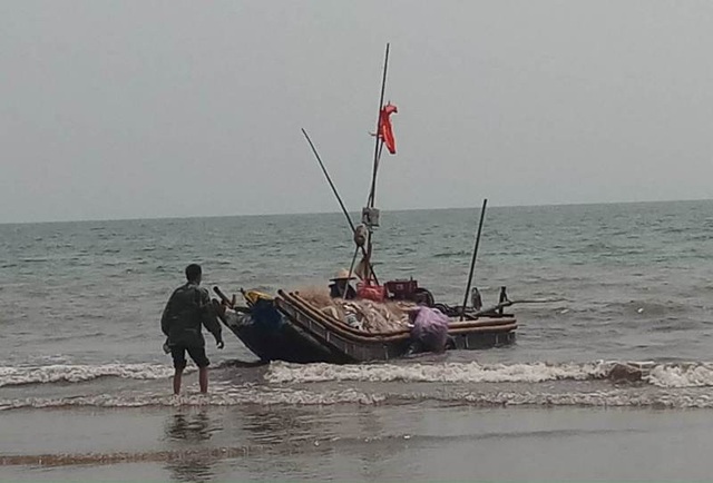 Ngư dân Thanh Hóa kiếm tiền triệu nhờ "lộc biển" - 7 Ngư dân địa phương ven biển Hoằng Hóa đón những chuyến ra khơi trở về đầy ắp lộc biển.