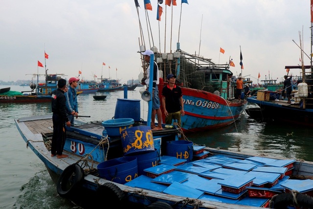 Ngư dân Quảng Nam phấn khởi vì trúng cá nục - 3 Cá nục đầy khoang thuyền đã được đặt sẵn vào các khay đang cập bến để vận chuyển lên bờ