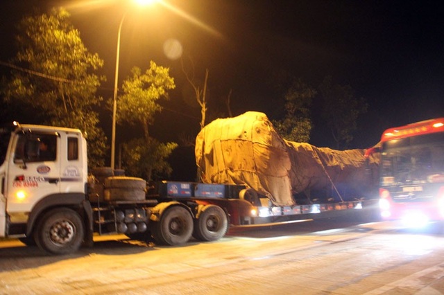 Giật mình xe chở cây khủng như “quái thú” băng băng trên quốc lộ 1 A - 6 Tại trạm thu phí Cầu Rác (xã Cẩm Trung, huyện Cẩm Xuyên, Hà Tĩnh) chiếc xe buộc phải di chuyển ở làn đường ngoài cùng để tránh cây va đập, gây hư hỏng tài sản của doanh nghiệp thu phí.