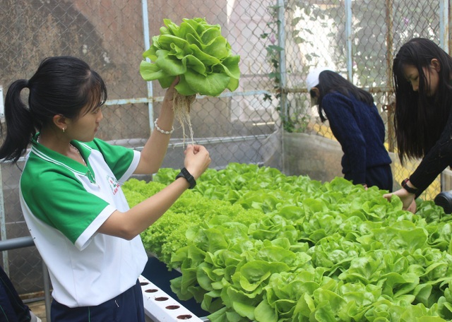 Xanh mát mô hình “vườn rau, hoa trường em” - 2 Việc thực hành giúp các em nắm vững các kiến thức đã học trên lớp