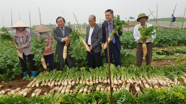 Cú bắt tay giữa hai doanh nghiệp Việt – Nam biến củ cải ế thừa thành mũi nhọn xuất khẩu - 4 Cú bắt tay giữa hai doanh nghiệp Việt – Nam biến củ cải ế thừa thành mũi nhọn xuất khẩu - 4
