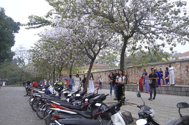 Bạn trẻ Thủ đô thích thú tạo dáng bên sắc tím hoa ban - 3
Ngay từ sáng sớm, đường Bắc Sơn đã nô nức người đến chụp ảnh, xe được xếp gọn gàng để nhường không gian cho các mẫu ảnh thả dáng.