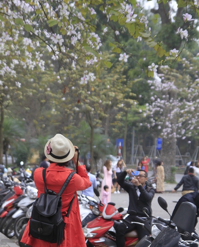 Bạn trẻ Thủ đô thích thú tạo dáng bên sắc tím hoa ban - 5 Bạn trẻ Thủ đô thích thú tạo dáng bên sắc tím hoa ban - 5