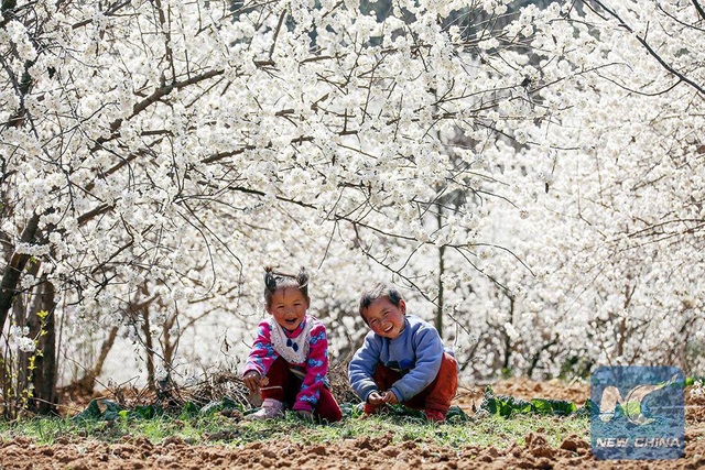 Mãn nhãn mùa hoa xuân tuyệt đẹp ở Trung Quốc | Báo Dân trí