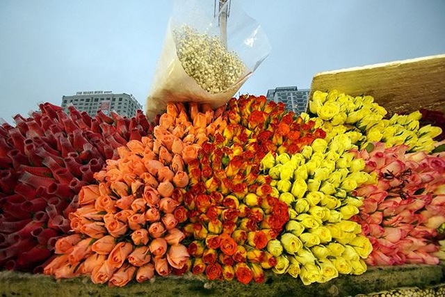 Chợ hoa đầu mối lớn nhất Hà Nội tấp nập trước ngày 8/3 - 18 Chợ hoa đầu mối lớn nhất Hà Nội tấp nập trước ngày 8/3 - 18