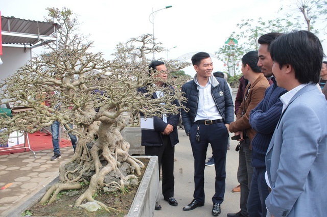 Tuyệt phẩm sanh cổ của đại gia Hưng Yên "hét giá" 30 tỷ gây xôn xao dư luận - 2 Các tác phẩm đều có tuổi đời lâu năm, hình dáng uyển chuyển đẹp mắt