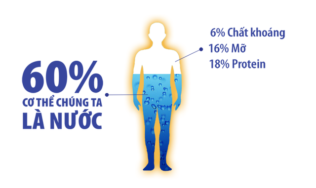 Con người có thể sống sót bao lâu mà không uống nước? - 2
Ít nhất 60% cơ thể người là nước - Ảnh từ Wikimedia Commons.