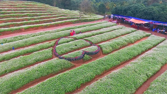 Giữa vườn hoa gia chủ thiết kế một trái tim lớn để du khách có thể chụp ảnh, ghi lại những khoảnh khắc đáng nhớ.