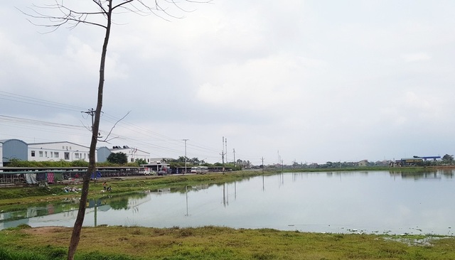 Nghệ An: Xin cải tạo hồ trồng sen, đào hết đất bán thành hồ nuôi cá! - 3 Thế nhưng đã hơn 2 năm qua dự án trồng sen đã trở nên xa vời.