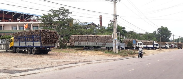 Nợ “đầm đìa” Đường Bình Định hứa trả lương tháng 3 cho công nhân - 1 Công ty CP Đường Bình Định hứa trả lương tháng 3 cho công nhân.