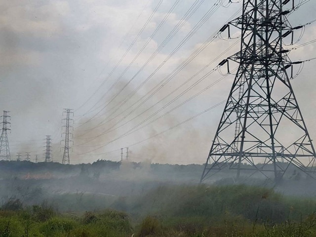 Cháy bãi cỏ, đường dây điện 500kv khu vực Nam Sài Gòn bị "uy hiếp" - 2 Trời nắng nóng nên đám cháy lan nhanh, uy hiếm đường dây 500kv