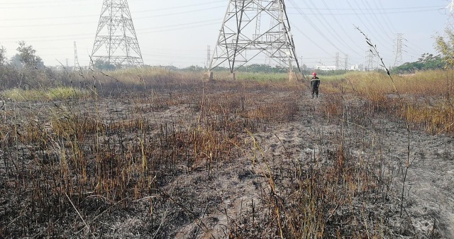 Cháy bãi cỏ, đường dây điện 500kv khu vực Nam Sài Gòn bị "uy hiếp" - 7 Hàng ngàn m2 bãi cỏ bị thiêu rụi, rất may là đường dây 500kv an toàn