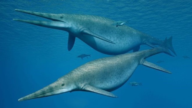 Ngư long cổ đại là một trong những sinh vật lớn nhất từng tồn tại - 1