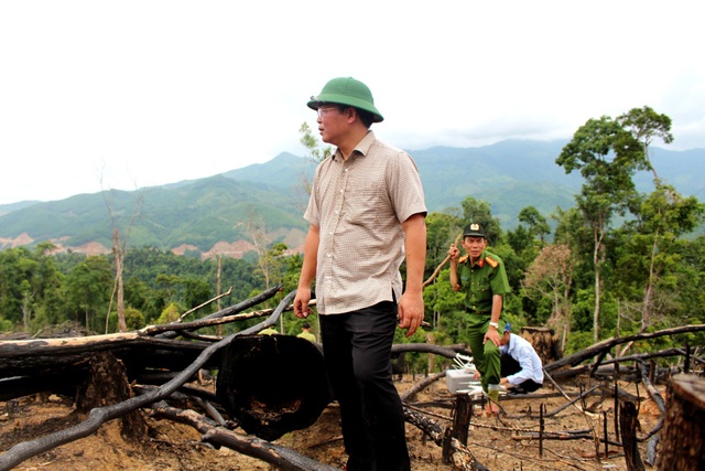 Phó Chủ tịch tỉnh viết tâm thư về những cây rừng “nhựa ứa như rỉ máu” - 2 Ông Lê Trí Thanh thị sát rừng phòng hộ ở xã Tiên Lãnh, huyện Tiên Phước bị cưa sạch, đốt sạch được phát hiện vào năm 2017