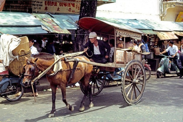  Ảnh xe ngựa đi ngang chợ cũ đường Hàm Nghi khoảng năm 1965-1966, được chụp bởi Thomas W. Johnson. Lúc này, những chiếc xe máy bắt đầu xuất hiện 