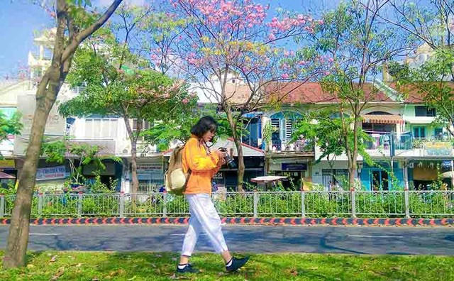 Có một Sài Gòn mộng mơ mùa hoa kèn hồng nở rộ - 10 Có một Sài Gòn mộng mơ mùa hoa kèn hồng nở rộ - 10