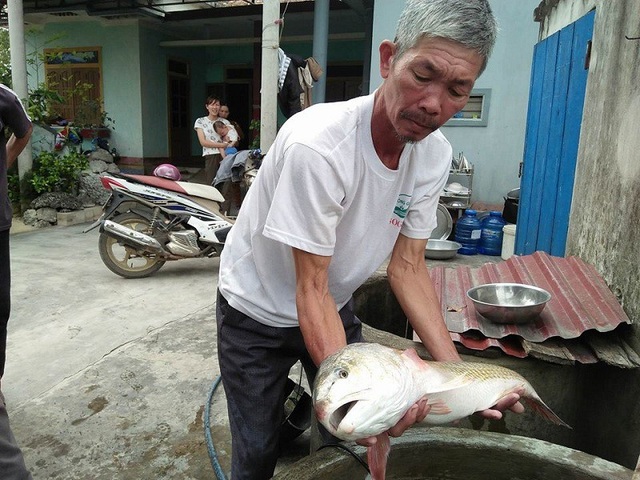 Ngư dân bắt được cá 4kg nghi là cá sủ vàng - 1 Ông Lê Thanh Quy và con cá nghi là sủ vàng quý hiếm