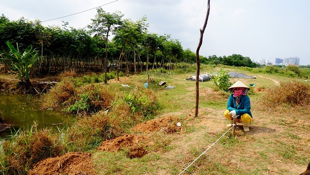 Cận cảnh khu đất "khủng" 30 ha, giá "bèo" khiến dư luận "dậy sóng" - 9 Những công nhân được thuê trồng cây bên trong khu đất.