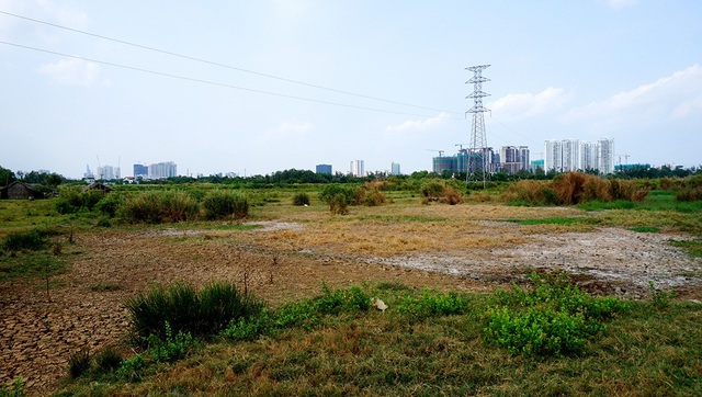 Cận cảnh khu đất "khủng" 30 ha, giá "bèo" khiến dư luận "dậy sóng" - 3 Trước đây, khu đất 30ha được người dân khai hoang để trồng lúa nước.