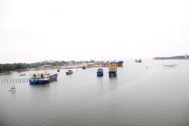 Xác định nguyên nhân ban đầu khiến cá chết trôi dạt vào bờ biển Quảng Trị - 1 Xuất hiện tình trạng cá chết trôi dạt vào bờ biển Quảng Trị