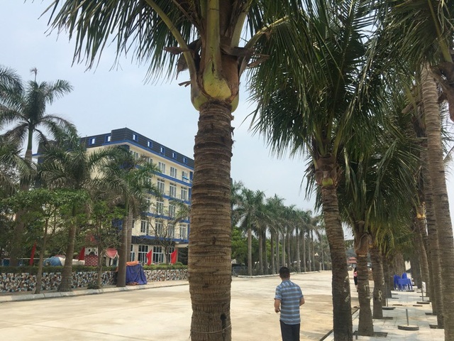 Du lịch biển Hải Tiến không chạy theo số lượng, không kinh doanh chụp giật - 2 Sau khi ảnh hưởng nặng nề của cơn bão số 10 năm 2017, cơ sở hạ tầng nơi đây đã được khôi phục trở lại