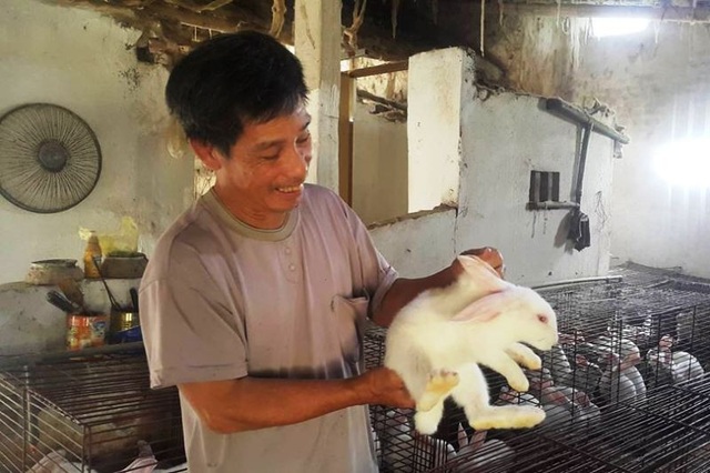 Lão nông kiếm chục triệu đồng/tháng dễ như “trở bàn tay” nhờ nuôi thỏ ngoại - 1 Bén duyên với nghề nuôi thỏ New Zealand hơn chục năm qua, ông Linh là một trong những người nuôi thỏ ngoại lớn nhất Ninh Bình hiện nay.