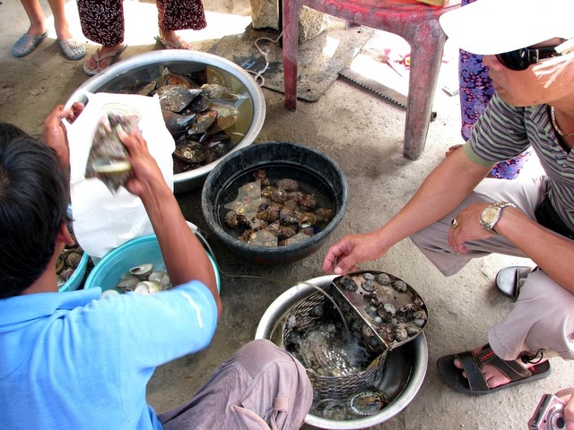 Những điểm đến ở Cù Lao Chàm mà du khách không nên bỏ qua - 11 Những điểm đến ở Cù Lao Chàm mà du khách không nên bỏ qua - 11