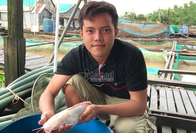 "Thuỷ quái" miền Tây: Ngàn con cá trê hồng đột biến gen kỳ lạ - 2
Anh Hậu cho biết từ hai cặp cá trê bạch tạng gia đình đã lai tạo ra cả nghìn con trê màu hồng