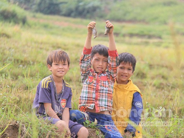 Căng thẳng săn "chuột quý tộc" ở Kon Tum - 8 Trẻ em bắt chuột ở phía dưới chân núi