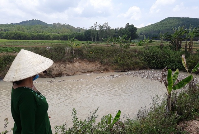 Muốn thả vịt ra đồng phải... đóng phí! - 3 Người nuôi vịt muốn bỏ phí lạ lùng này.