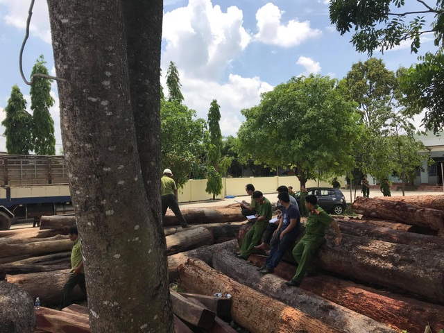 Bộ Công an đang vây bắt vụ phá rừng lớn tại Vườn quốc gia Yok Đôn - 1 Khối lượng lớn gỗ lậu bị cơ quan công an phát hiện, bắt giữ
