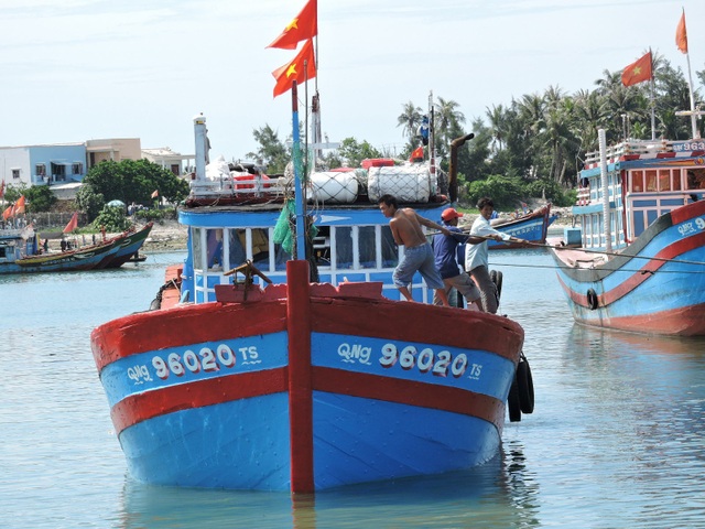 Quảng Ngãi: Niềm vui với những mẻ cá tươi từ Hoàng Sa - 1 Nhiều tàu cá của ngư dân Lý Sơn về bến để hòa cùng niềm vui trong những ngày tháng 4 lịch sử