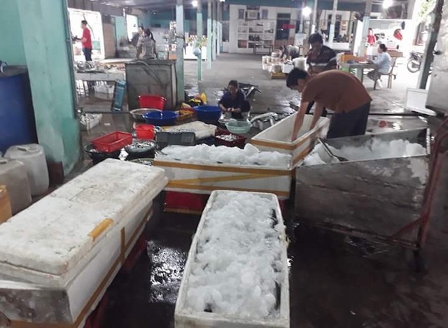 Bình minh ở bến cá lâu đời xứ Nghệ - 9 Cá được cấp đông vận chuyển cho khách.