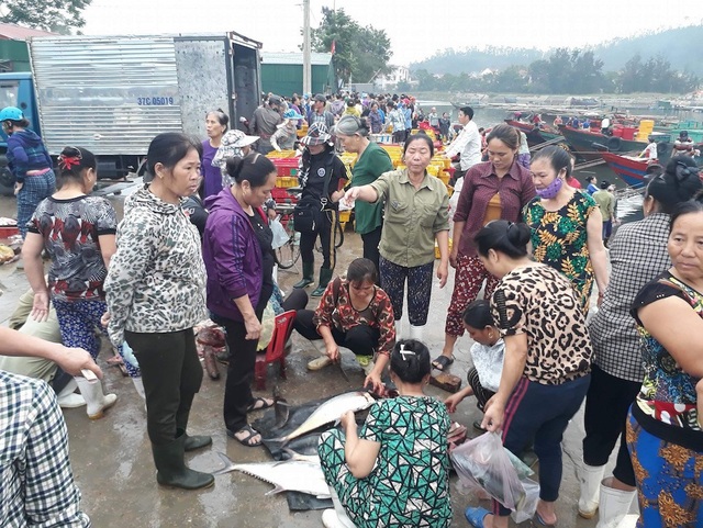 Bình minh ở bến cá lâu đời xứ Nghệ - 7 Cá thu sau khi được đưa lên bờ, người dân tranh nhau mua.