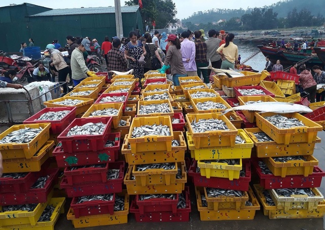 Bình minh ở bến cá lâu đời xứ Nghệ - 3 Tấp nập bến cá, kẻ bán người mua.