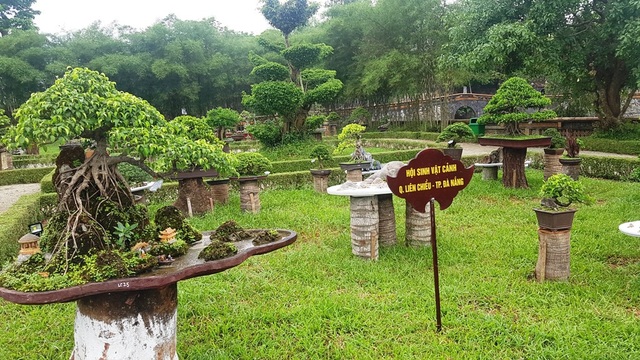 Hơn 1.000 cây kiểng, phong lan tỏa hương sắc tại Hoàng cung Huế - 7 Khu trưng bày Hội sinh vật cảnh Quận Liên Chiểu, TP Đà Nẵng