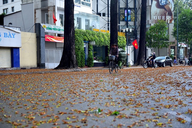 Sao đen phản chiếu trên đường phố Sài Gòn đến hôm nay vẫn là một đề tài tạo nên sự thú vị đối với người ta. Từ xa xưa, người ta đã nghĩ rằng màu đen là màu không may mắn, nhưng ở Sài Gòn, sao đen lại có ý nghĩa tài lộc và may mắn.