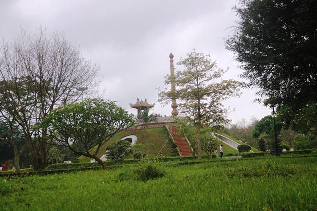 Thành cổ Quảng Trị - Dấu tích còn mãi với thời gian! - 12 Cỏ xanh trong khuôn viên Thành cổ Quảng Trị. Nơi thấm đẫm máu xương của hàng vạn chiến sĩ