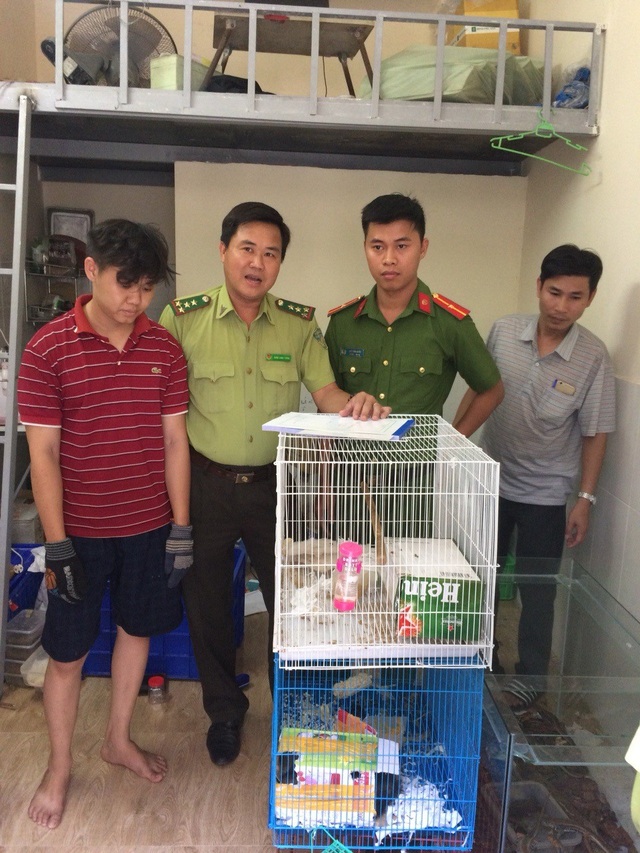 Giải cứu 18 cá thể động vật rừng - 1 Cơ quan chức năng xử phạt anh Nguyễn Chí Linh 6 triệu đồng vì hành vi mua bán động vật rừng
