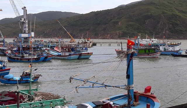 Yêu cầu cảng hàng dừng đổ đất lấn biển “uy hiếp” cảng cá tại Bình Định! - 2 Tàu thuyền neo đậu ở cảng Quy Nhơn, trong đó một số tàu thuyền đang neo đậu trên diện tích mặt nước được cấp phép cho Công ty CP Tân Cảng Quy Nhơn.