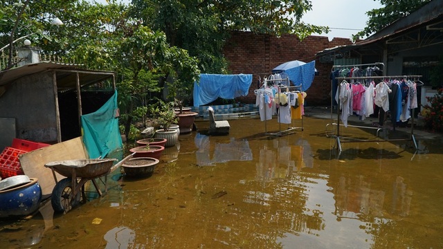 Câu chuyện buồn của người phụ nữ bám trụ Thủ Thiêm giữ 5.000 m2 đất - 3 Nhà bà Cúc lúc bình thường không có mưa cũng bị ngập do nước đọng