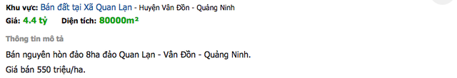Vân Đồn sau lệnh “cấm” giao dịch: Môi giới rao bán “ầm ầm” nguyên một hòn đảo - 2 Ảnh chụp màn hình từ một website chuyên rao bán bất động sản.
