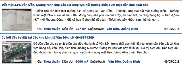 Vân Đồn sau lệnh “cấm” giao dịch: Môi giới rao bán “ầm ầm” nguyên một hòn đảo - 4 Vân Đồn sau lệnh “cấm” giao dịch: Môi giới rao bán “ầm ầm” nguyên một hòn đảo - 4